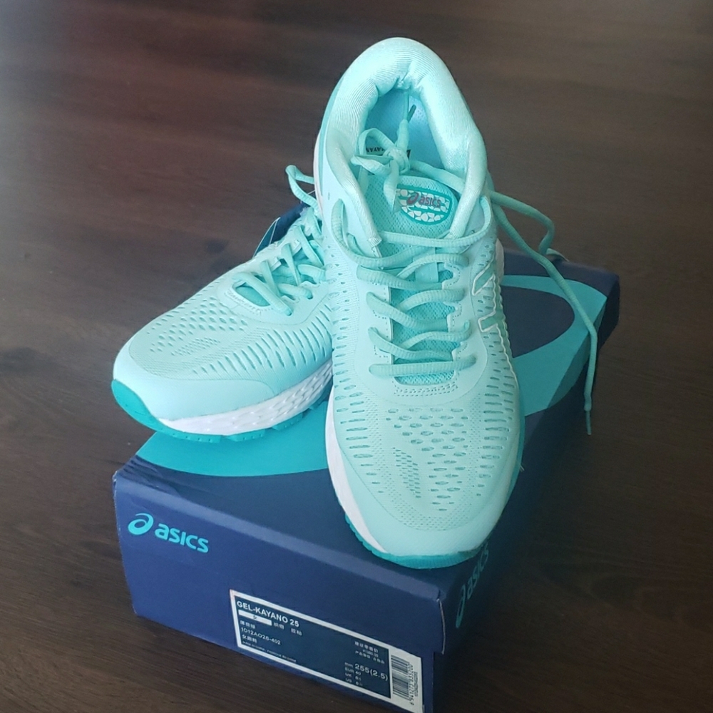 Asics Gel  Kayano 25